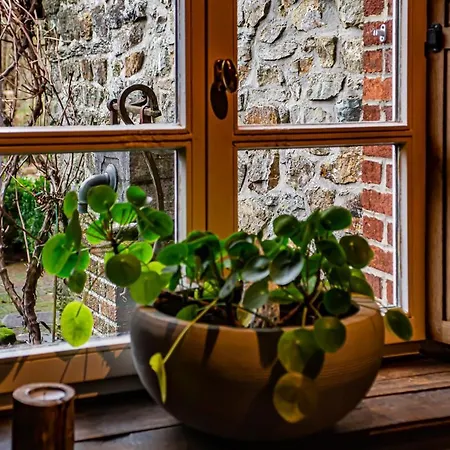 Le Secret Du Bois ベッド・アンド・ブレックファスト Bourseigne-Vieille