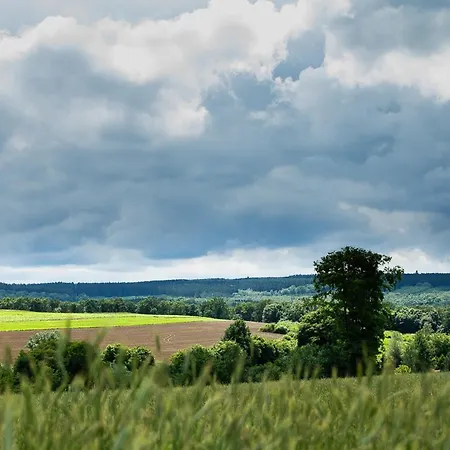 ベッド・アンド・ブレックファスト Le Secret Du Bois 3*