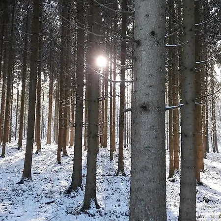 Le Secret Du Bois ベッド・アンド・ブレックファスト Bourseigne-Vieille