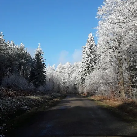 Le Secret Du Bois Bourseigne-Vieille